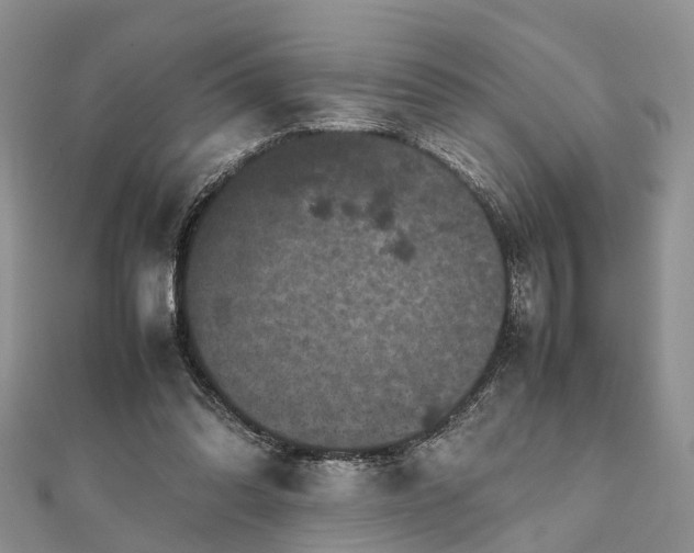 X0000111840302200907301056