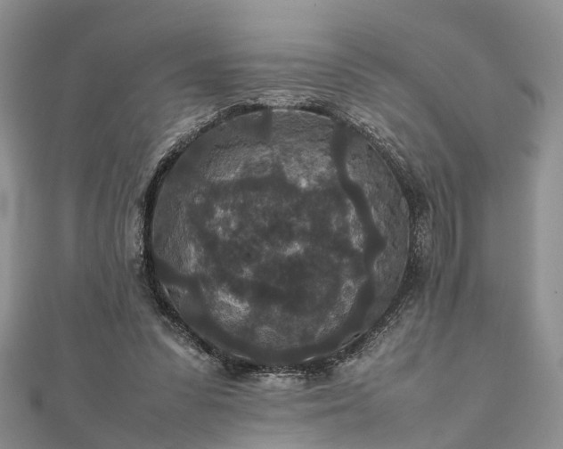 X0000111840303200907301056