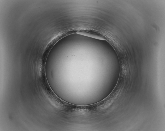 X0000111840304200907301056