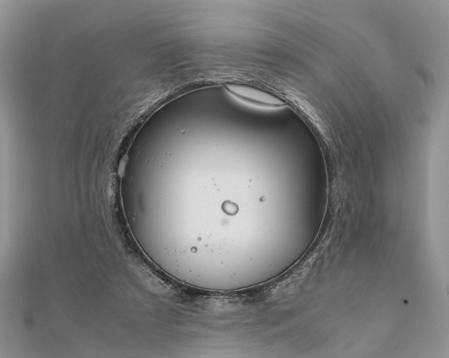 X0000111840305200907301056