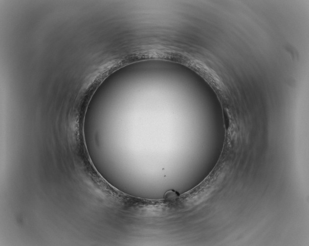 X0000111840306200907301056