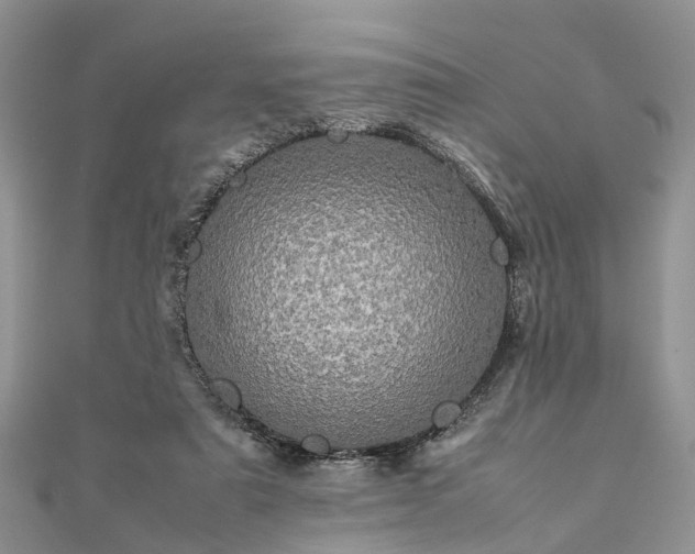 X0000111840307200907301056