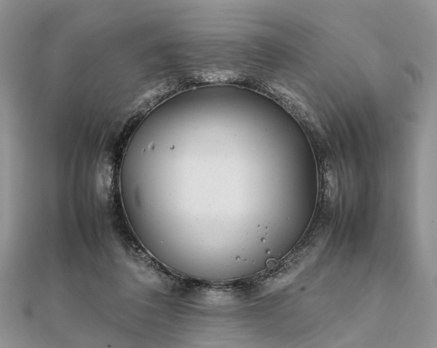 X0000111840308200907301056