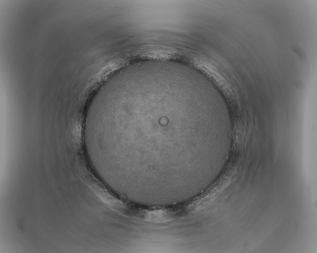 X0000111840309200907301056