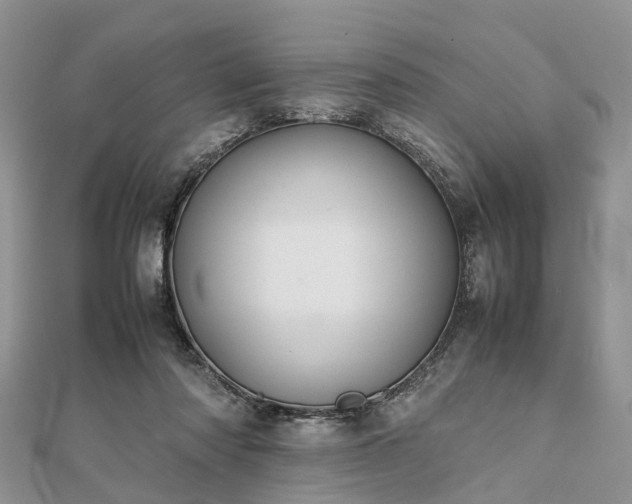 X0000111840310200907301056