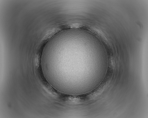 X0000111840311200907301056