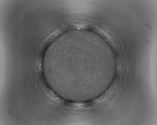 X0000111840313200907301056