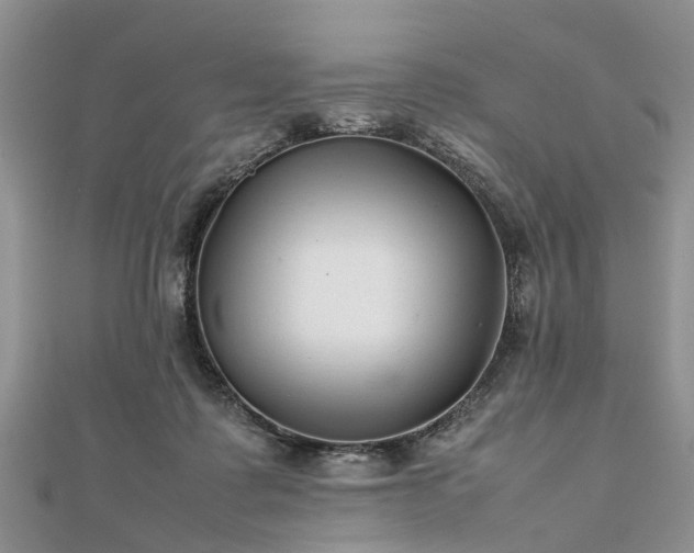 X0000111840315200907301056