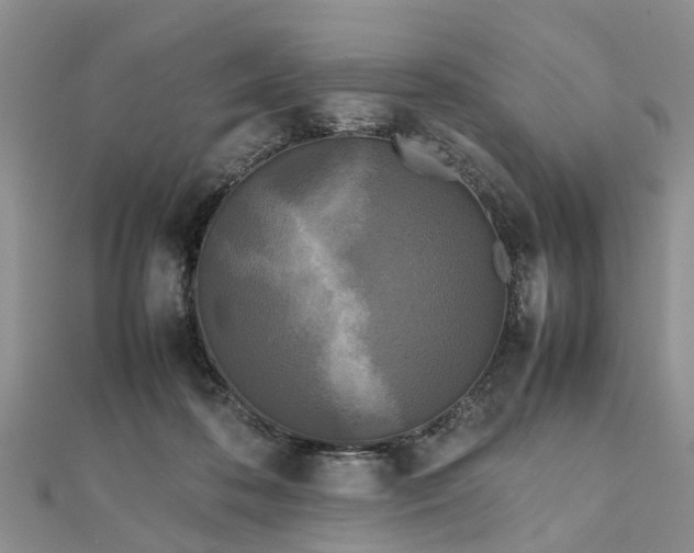 X0000111840316200907301055