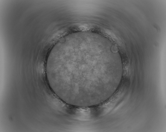 X0000111840317200907301055