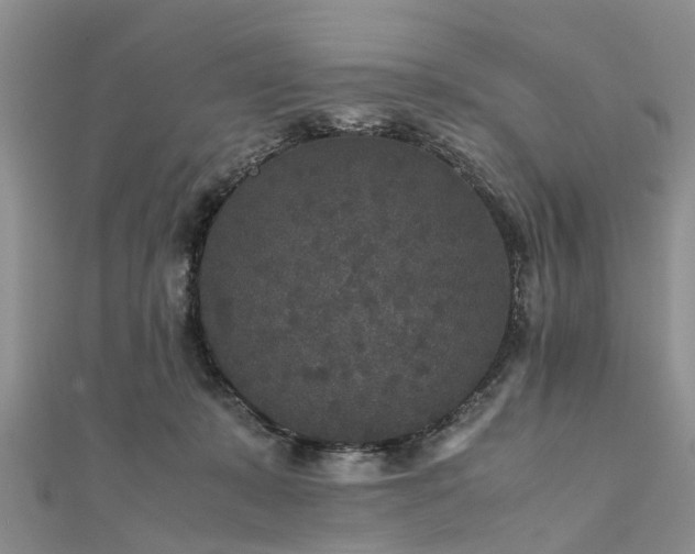 X0000111840319200907301055