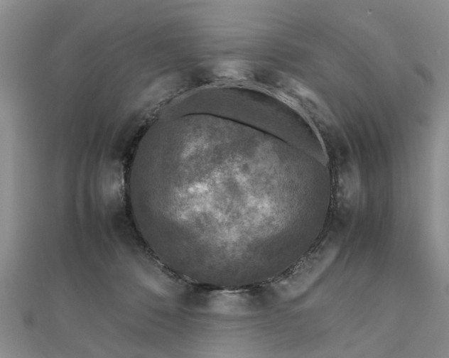 X0000111840320200907301055