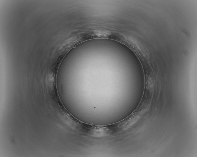 X0000111840321200907301055