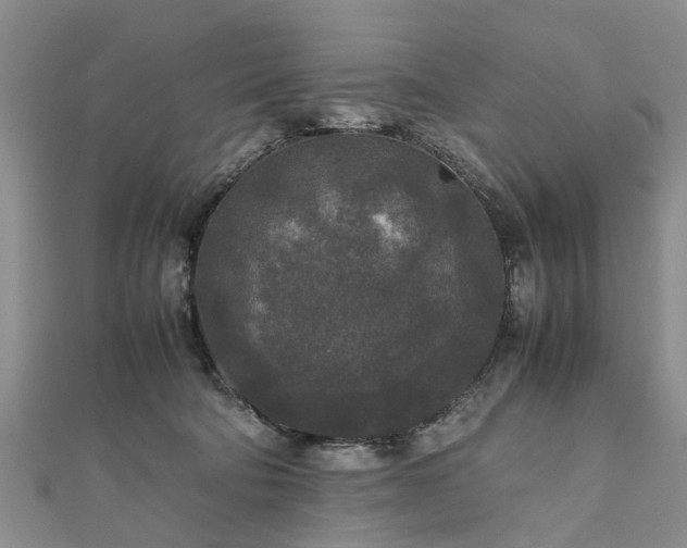 X0000111840322200907301055