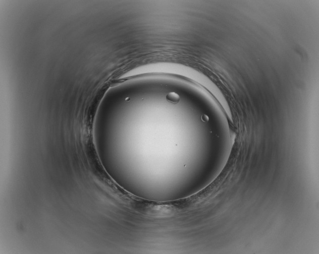 X0000111840324200907301055