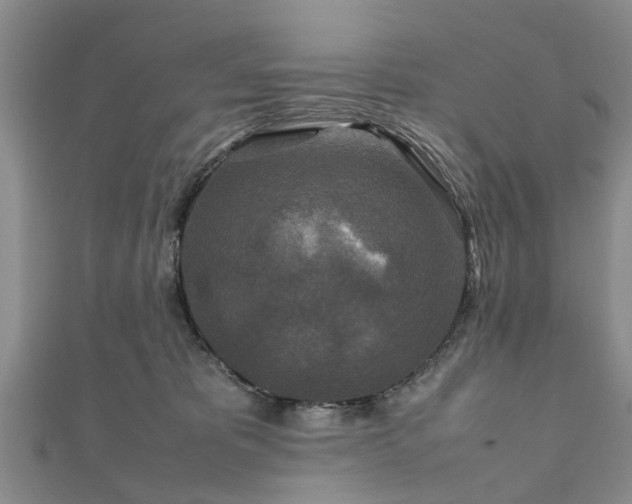 X0000111840325200907301055