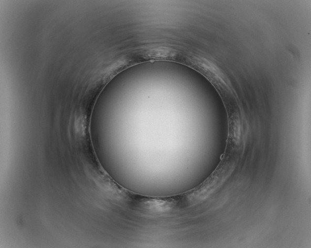 X0000111840326200907301055