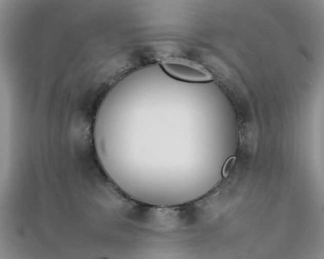 X0000111840327200907301055