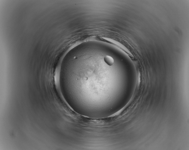 X0000111840328200907301055