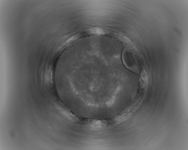 X0000111840330200907301055