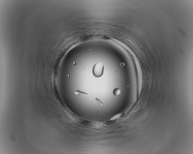 X0000111840333200907301055