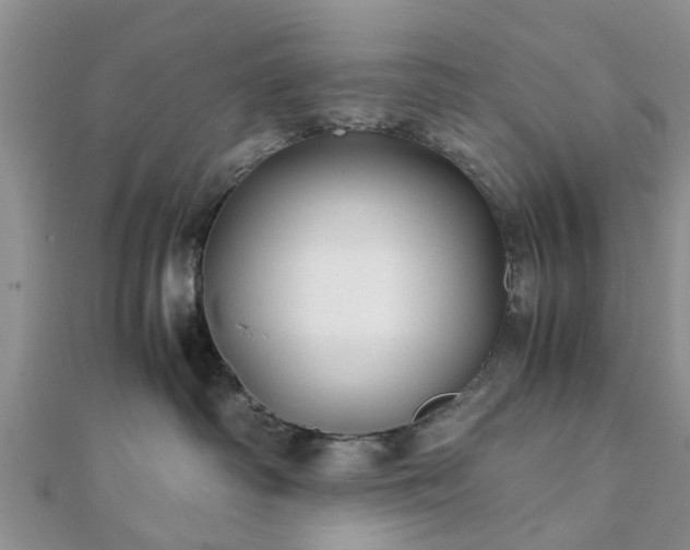 X0000111840334200907301055