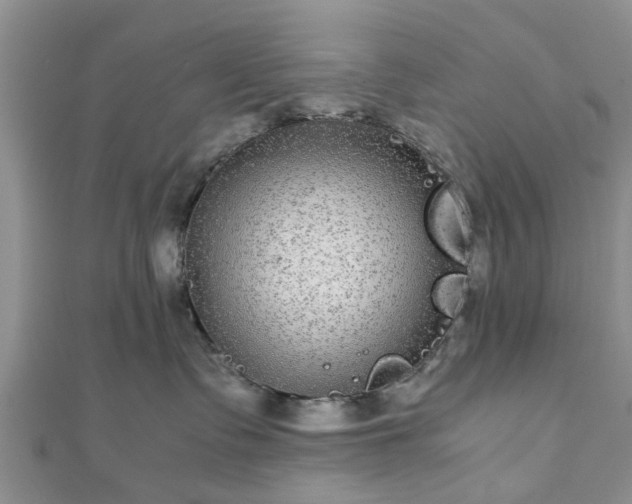 X0000111840335200907301055