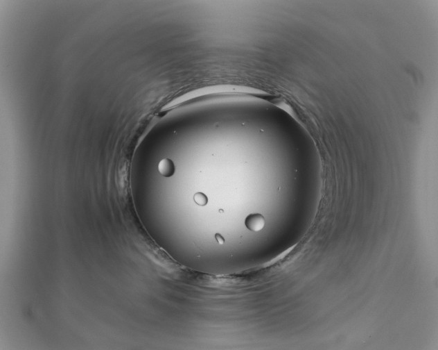 X0000111840336200907301055