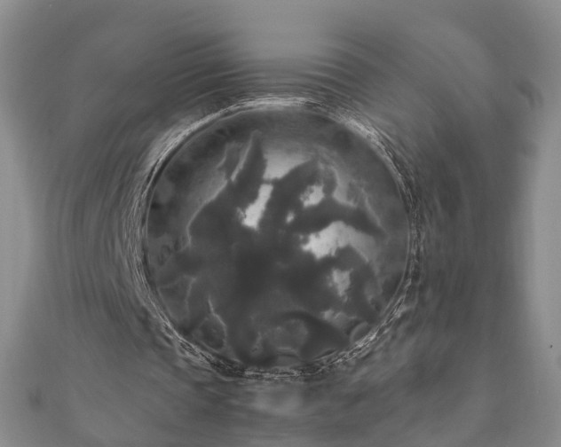 X0000111840337200907301054