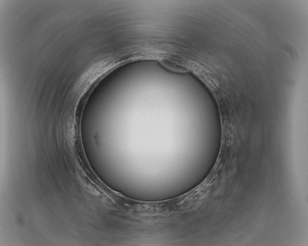 X0000111840338200907301054