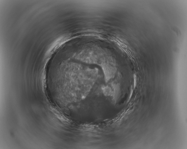 X0000111840339200907301054