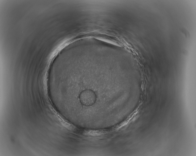 X0000111840341200907301054