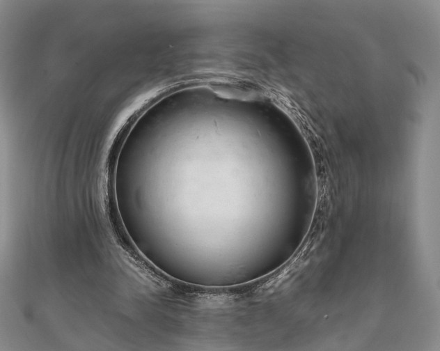 X0000111840342200907301055