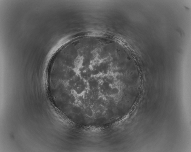 X0000111840343200907301055