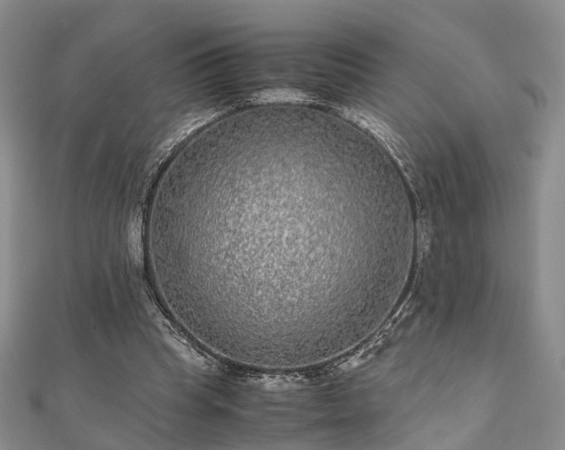 X0000111840345200907301055