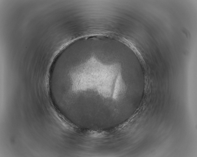 X0000111840346200907301055