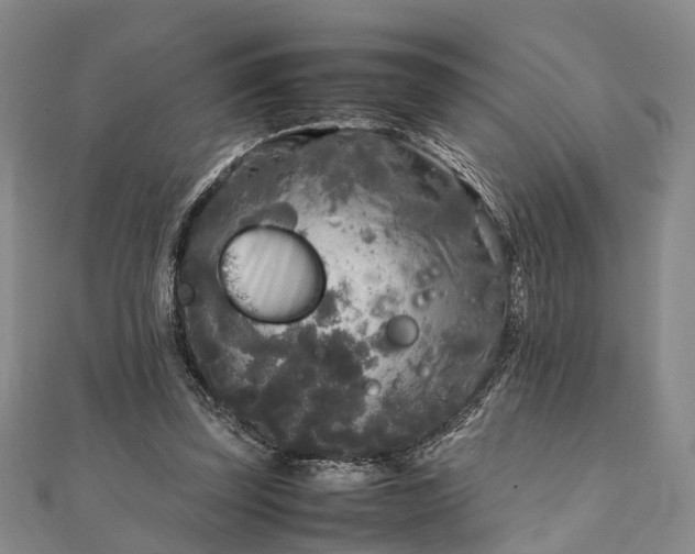 X0000111840347200907301055