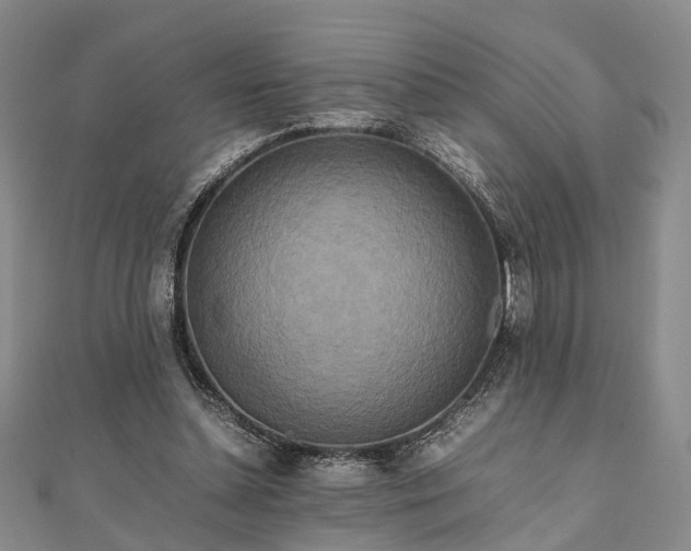 X0000111840348200907301055