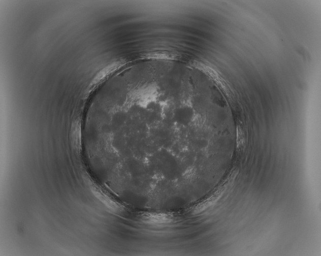 X0000111840349200907301055