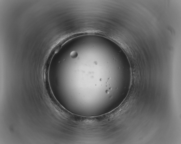 X0000111840350200907301055