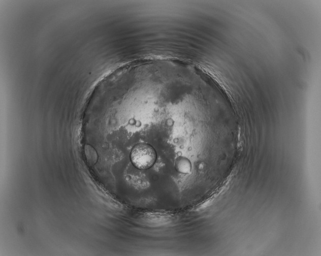 X0000111840351200907301055