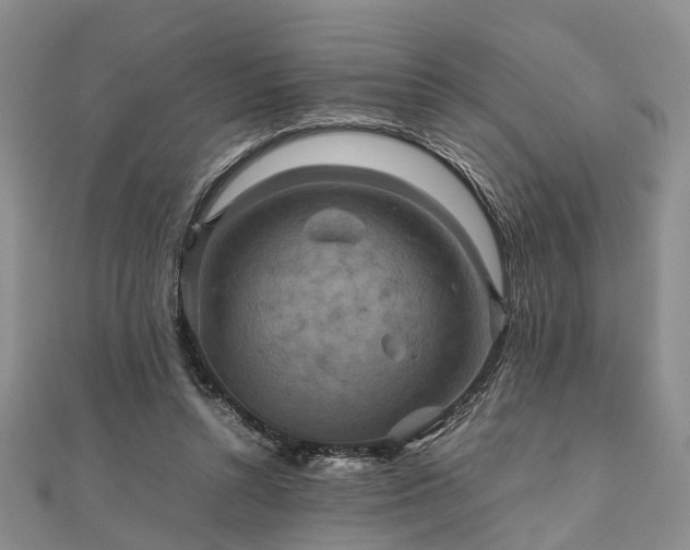 X0000111840352200907301055