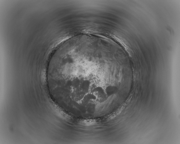 X0000111840353200907301055