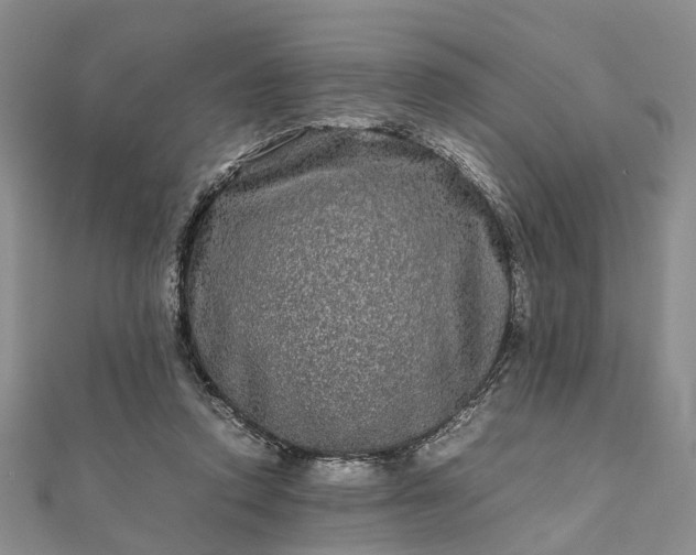 X0000111840354200907301055