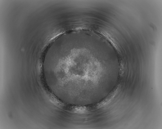 X0000111840355200907301055