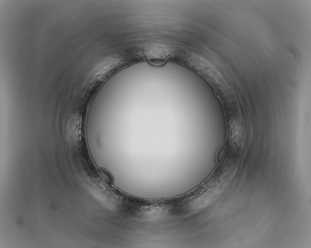 X0000111840356200907301055