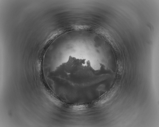 X0000111840357200907301055