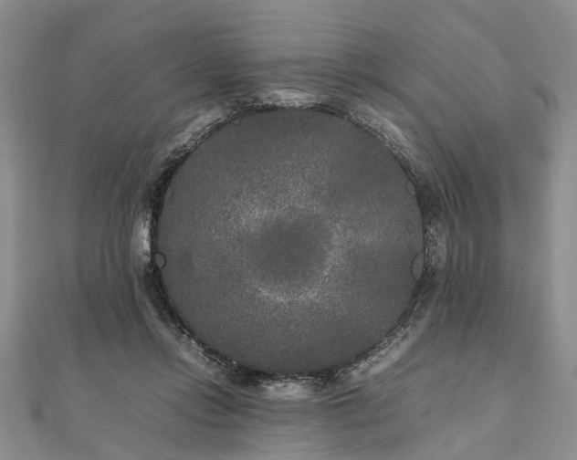 X0000111840358200907301055