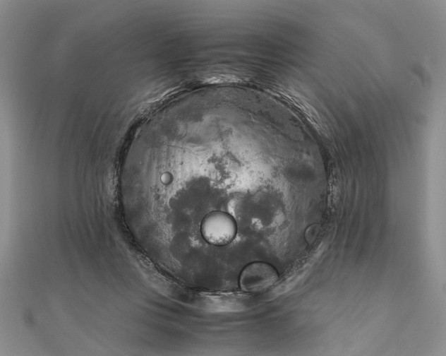 X0000111840359200907301055