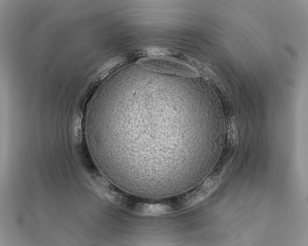 X0000111840360200907301055